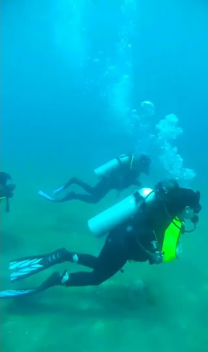 Certified PADI Divers
