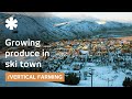 Ski town turns car park into vertical farm for local jobs/food Ski town turns car park into vertical farm for local jobs/food