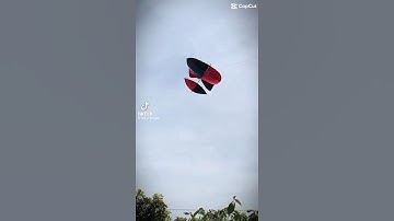 Thả diều khi trời gió bão #dieusao #xuhuong