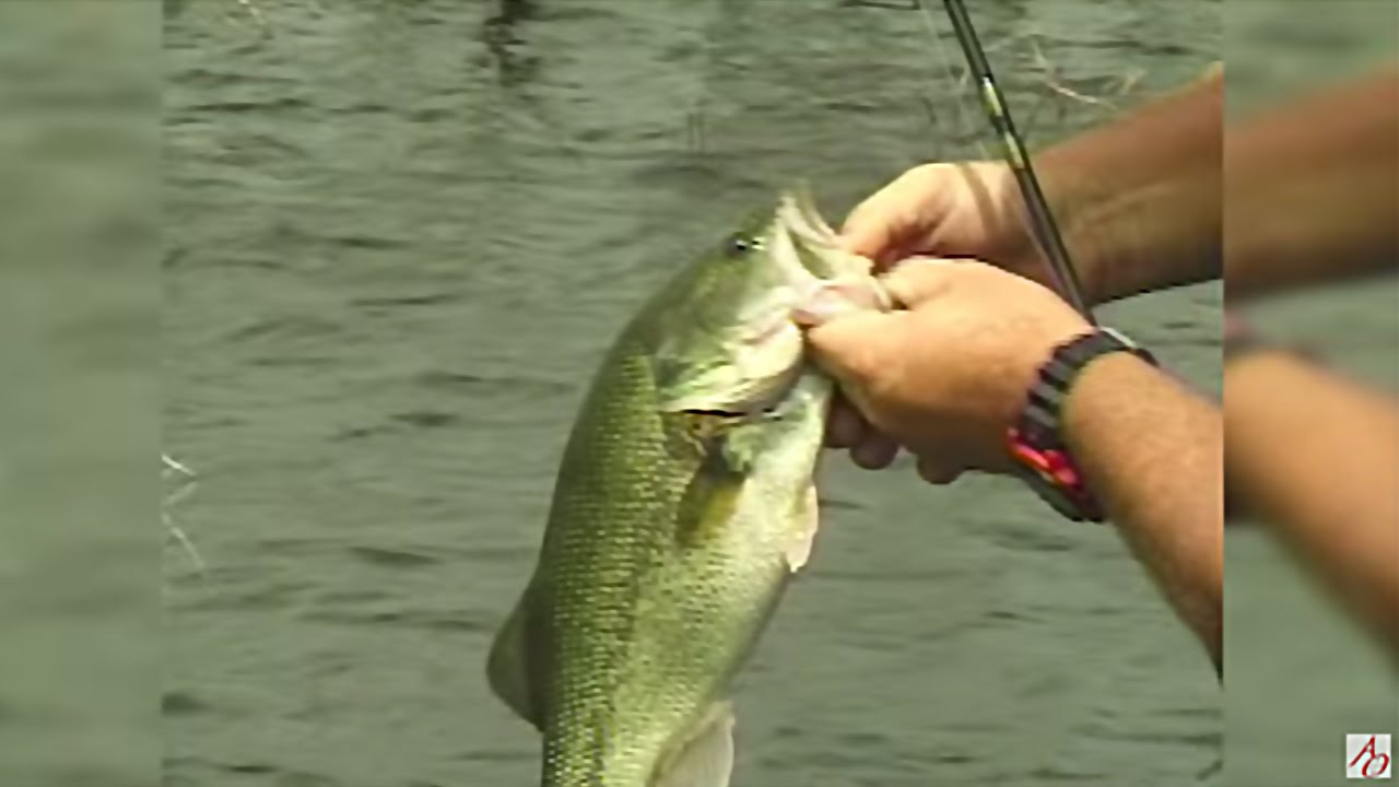 Bass Fishing at Gridley City Lake, Kansas YouTube