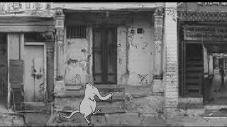 suiciderat.avi