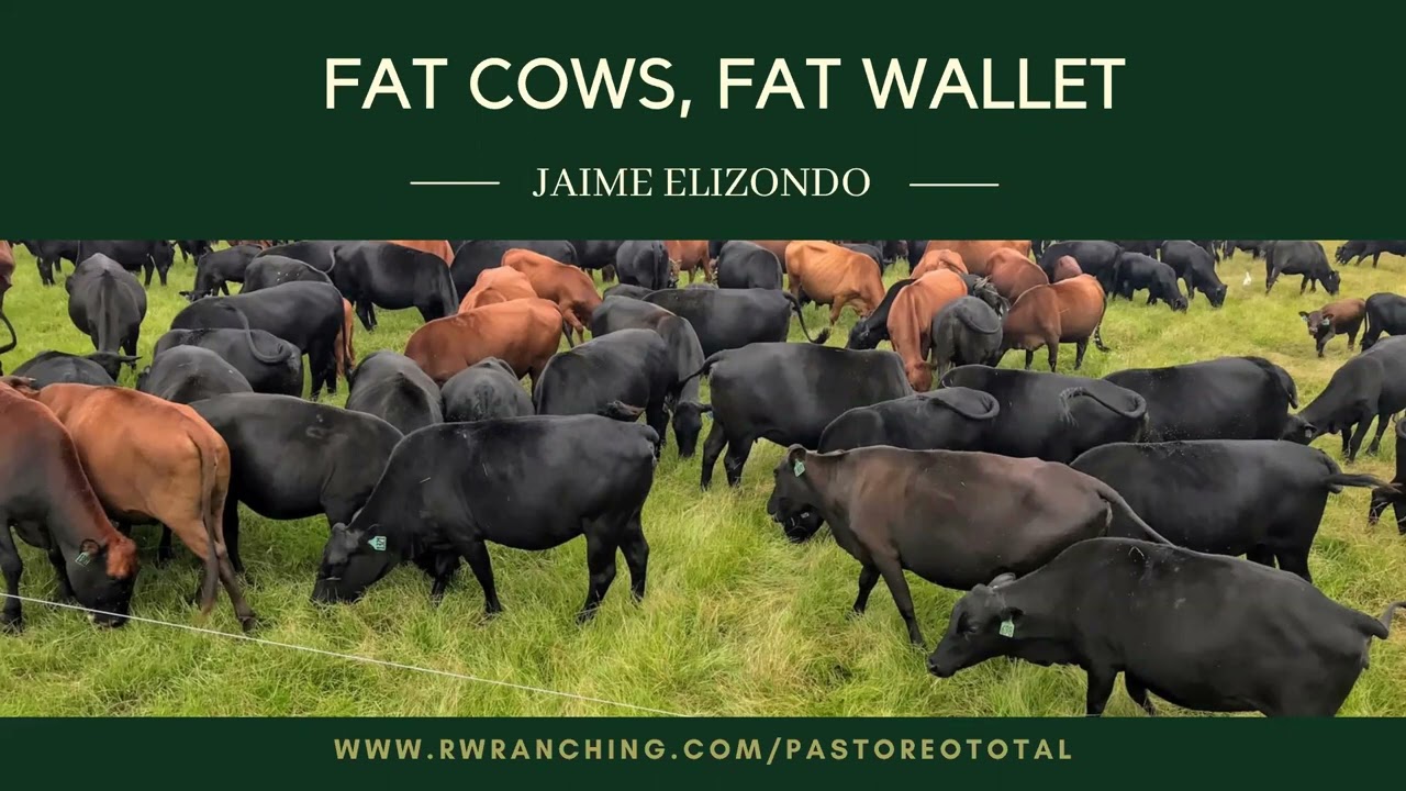 #68 Advantages of creating a soil sponge