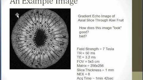 Magnetic Resonance Imaging Basics Course: The Voxel Signal