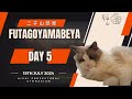 二子山部屋名古屋場所出场 - Futagoyama Beya Rikishi matches. Nagoya Basho Day 5
