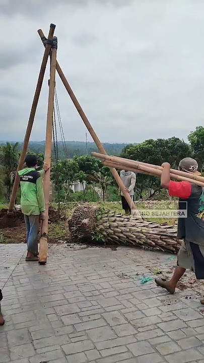 PENANAMAN POHON UNTUK AGROWISATA TAMANSURUH BANYUWANGI | AGRO SEJAHTERA