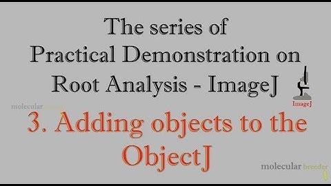 Practical Demonstration on Root Analysis - ImageJ  - 3. Adding objects to the ObjectJ