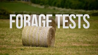 Forage Tests