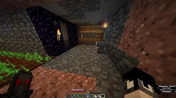 Minecraft 1.21.11 SMP (Java) IP in desc