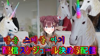 【雑談】宇宙アイドルのスケジュールをキメる / 우주아이돌의 스케쥴정하기 【 イロハ 이로하 / NIJISANJI KR】
