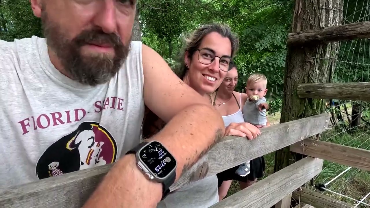 eine mp5 zum Traktor waschen ,das Vordach Kärcher und Hochlandrinder