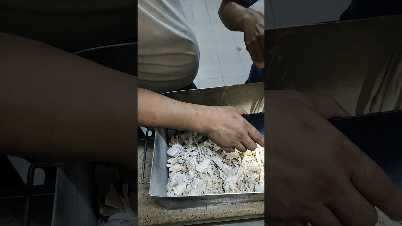 finding a green bones 