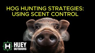 Hog Hunting Strategies Using Scent Control