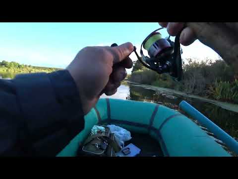 Fishing. Pike on a spoon #fishing #fishing #video