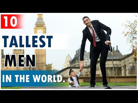 top-10-tallest-men-in-the-world-|-विश्व-के-सबसे-ऊंचे-पुरुष.