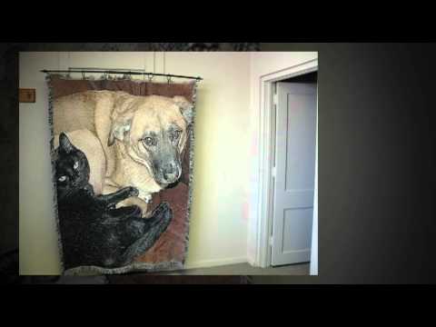 Companion Funeral