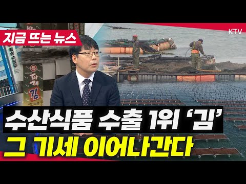 K-푸드의 핵심 수출 품목으로 자리 잡은 김. 바다를 넘어 육지에서 자라는 새로운 시대!