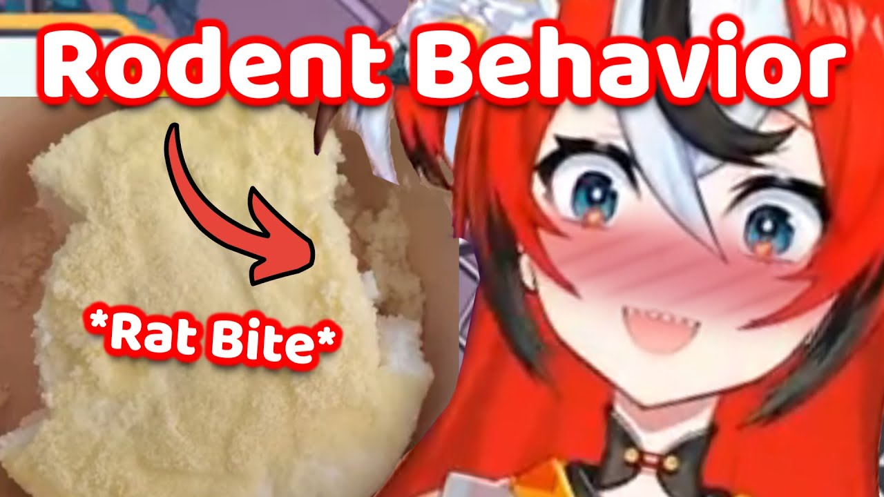 Bae may actually be a RAT in real life with how she eat...