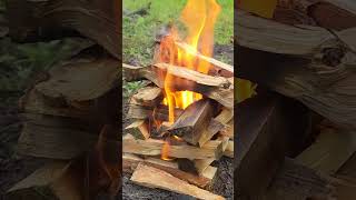 How to use birch bark as a fire lighter #survival #survivalskills #prepper #prepping #shorts How to use birch bark as a fire lighter #survival #survivalskills #prepper #prepping #shorts