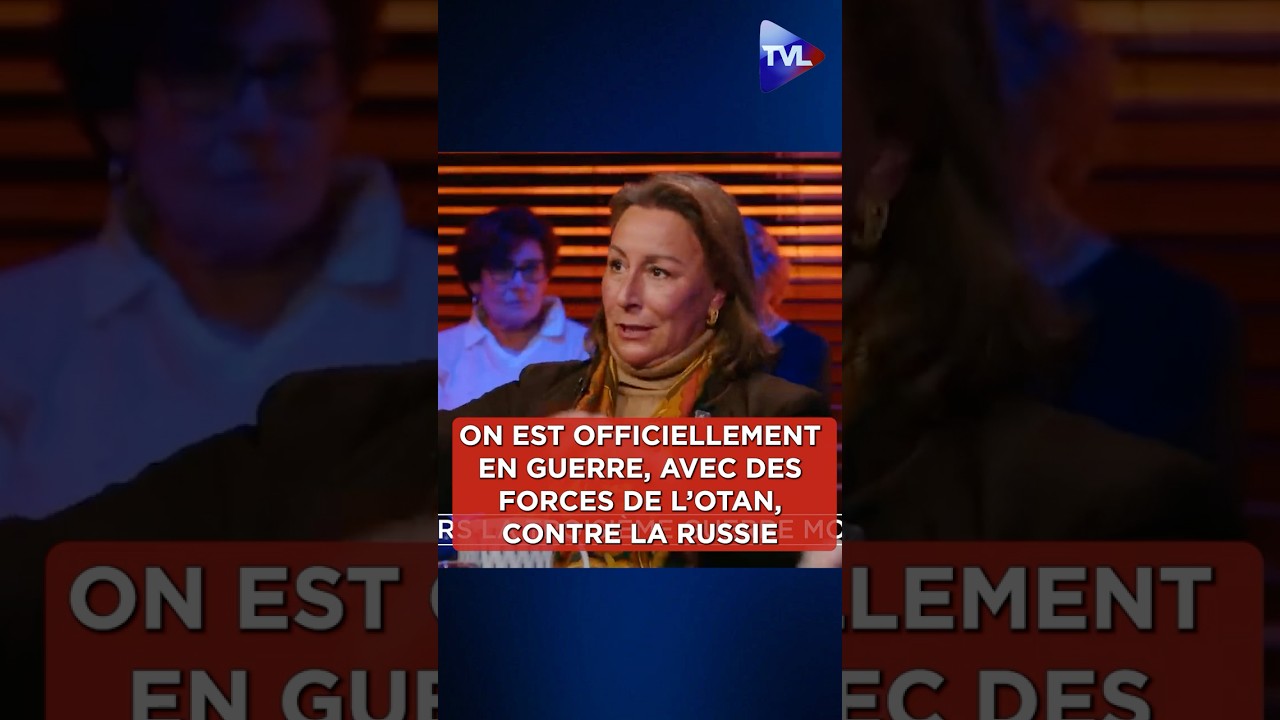"On est quand même en guerre officiellement, avec les forces de l'OTAN, contre la Russie !"