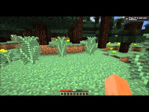 THANK YOU GUYZ! TWO-FIDDY (250 Subs!) - THANK YOU GUYZ! TWO-FIDDY (250 Subs!)