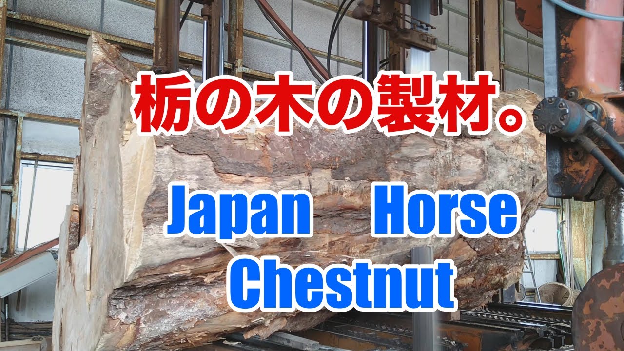またまた人気の栃の木の製材動画です。Japan Horse Chestnut. - YouTube