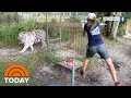 New Details Emerge About Attack At ‘Tiger King’ Star Carole Baskin’s Facility | TODAY