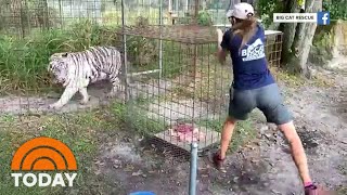 New Details Emerge About Attack At Tiger King Star Carole Baskins Facility Today