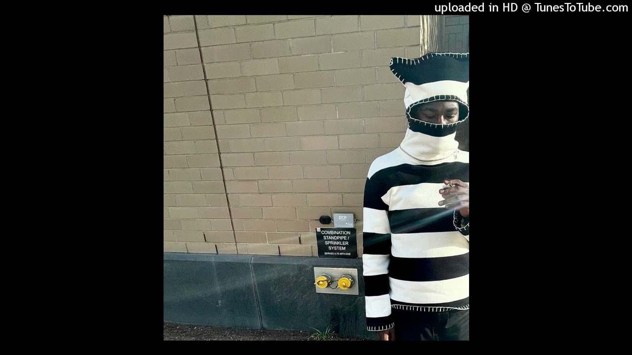 [FREE] Nino Paid x HavinMotion x Jaeychino x DMV Sample Type Beat - 