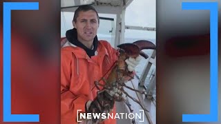 Maine fishermen slam Whole Foods after decision to pull lobster | Morning in America