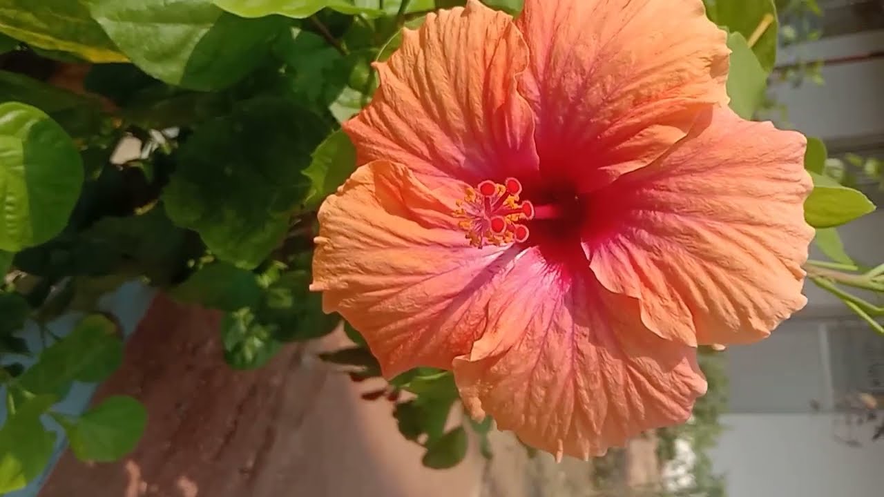 আমার নতুন চ্যানেল 👍👍👍