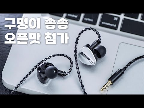 1DD + 4BA 구멍이 송송 오픈형 맛 첨가 | <strong>Kiwi</strong> Ears Airoso (키위이어스 아이로소)