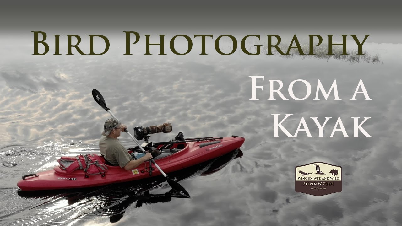 Bird Photography From a Kayak YouTube