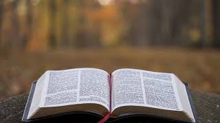 (Dramatized Bible) Book Of Genesis Chapter 44