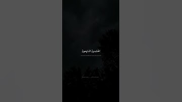التَّائِبُونَ الْعَابِدُونَ الْحَامِدُونَ | محمد صديق المنشاوي | سورة التوبة