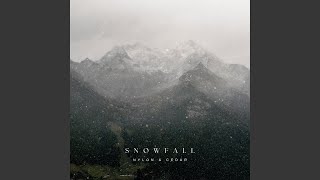 Snowfall