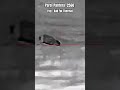 Hunting a backyard rabbit with Savage B17 FVSR 17hmr 20g Hornady XTP & Pard Pantera 256Q Thermal