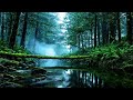Tropical Jungle River Sounds at Night for Deep Sleep | Relaxing Water Flow Ambience