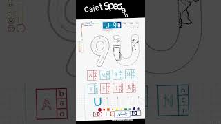 Clasa pregătitoare caiet integrat transdisciplinar, pluridisciplinar