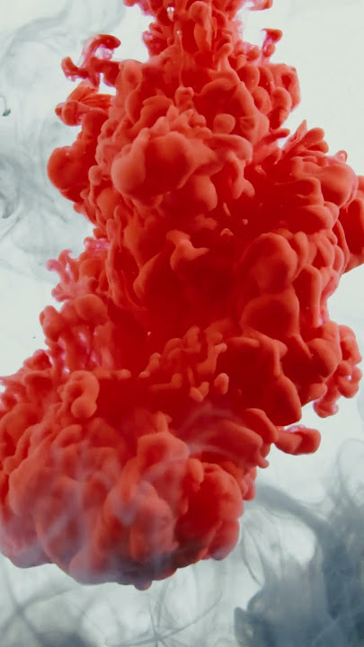 lamorecos best song 2023.