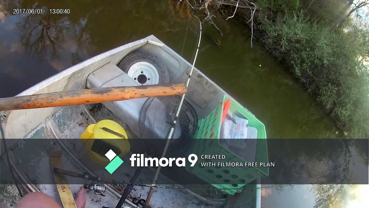 Branched Oak Lake Crappie Fishing YouTube