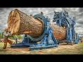 From Forest to Fireplace: Processing Millions of Logs for Winter Heat | Complete Firewood Production