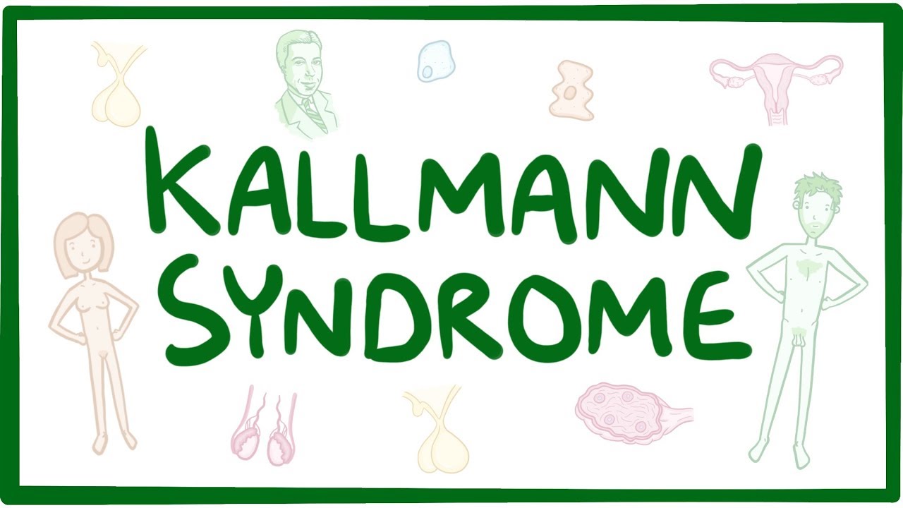 Kallmann Syndrome Fifth Sense