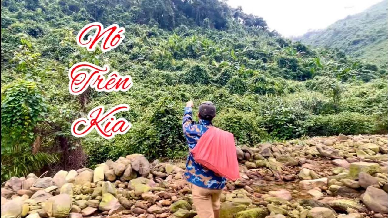 Một Ngày Lên Núi Chặt Lá Làm Cây Nêu Đón Tết 🌿 Phong Cảnh Núi Rừng Tuyệt Đẹp