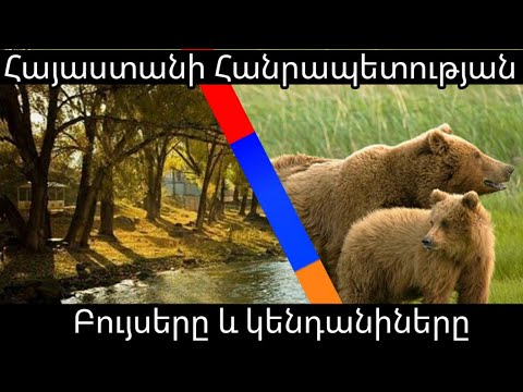 Video: Հայաստանի բնությունը. լուսանկար, բուսական և կենդանական աշխարհ. Հայաստանի լեռները