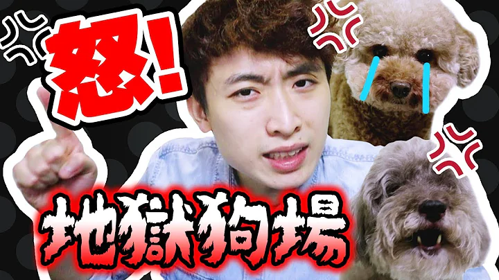 【😡 愤怒！】地狱狗场被揭虐待动物！无良场主“借猫狗赚钱”💰？惨绝人寰！(中字) - 天天要闻