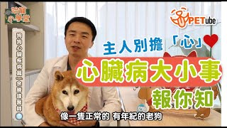 【#哈寵PETube】 第135集 狗狗心臟疾病篇 feat. 余騰瑋 醫師