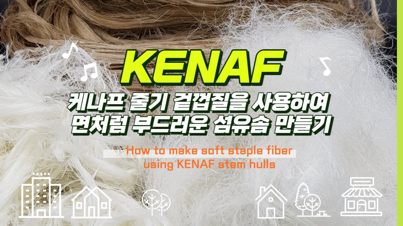 From KENAF harvest to making kenaf staple fiber - 케나프 줄기 수확에서 부터 케나프솜을 ...