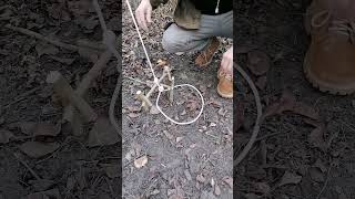 Trap#Bushcraft #Trap #Survival