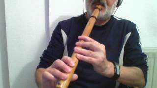 YOU RAISE ME UP  - Quenacho flute chords