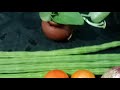April 17, Friday -lunch preparation &amp; , சாம்பார், முட்டை,rice 🌾🍚 வாங்க live க்கு பேசலாம்....